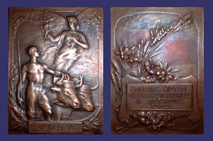 Concours D'Animaux Reproducteurs Arras, Jury Plaque, 1912
