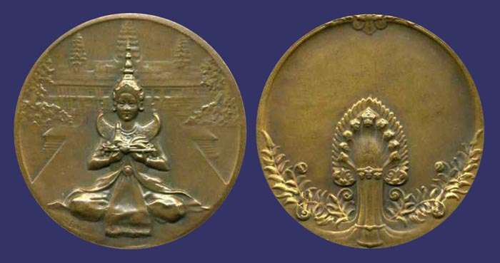 French Colonial Medal
