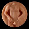 Birksl#002-Male Torso-small.jpg